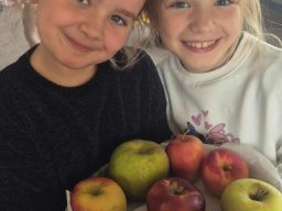 55761285412667230785889718642323174819295231n